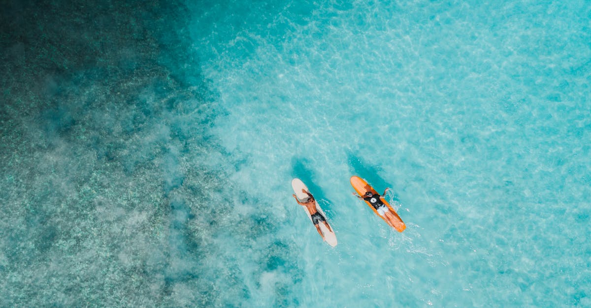 Two surfers paddle in clear blue water, viewed from above, emphasizing water sports and adventure.