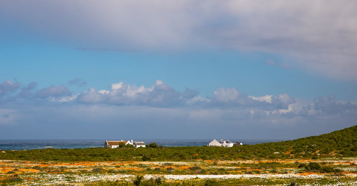third_section_image_data.image_alt