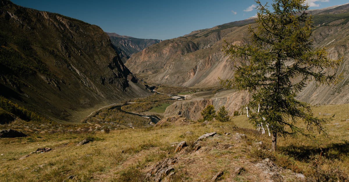 A stunning view of a serene mountain valley with a single tree and winding river under a clear sky.