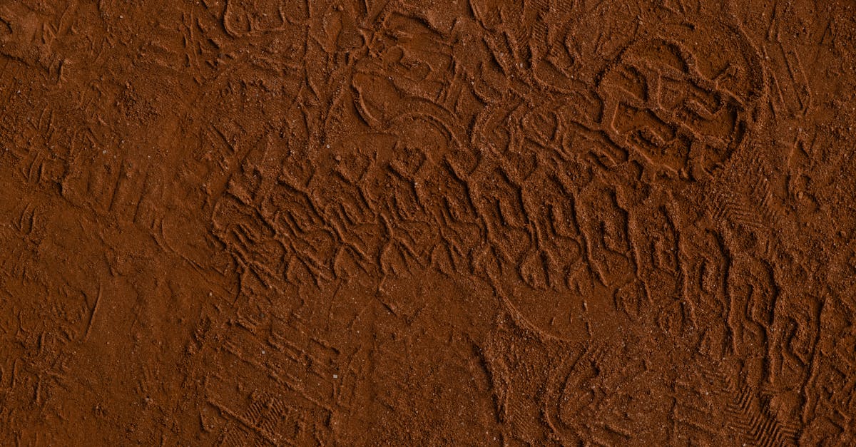 Close-up of intricate tire marks and footprints on a red clay surface.