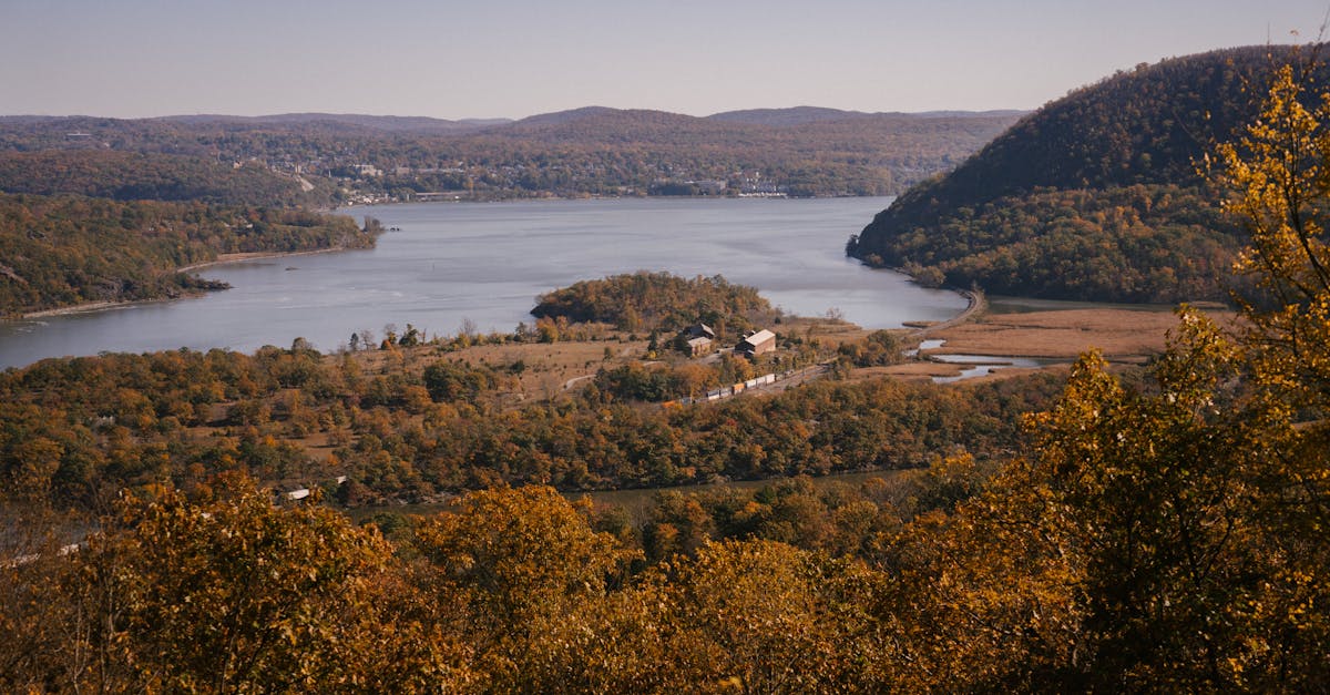 Small houses located on river coast surrounded by lush trees growing on hills against cloudless blue sky in autumn