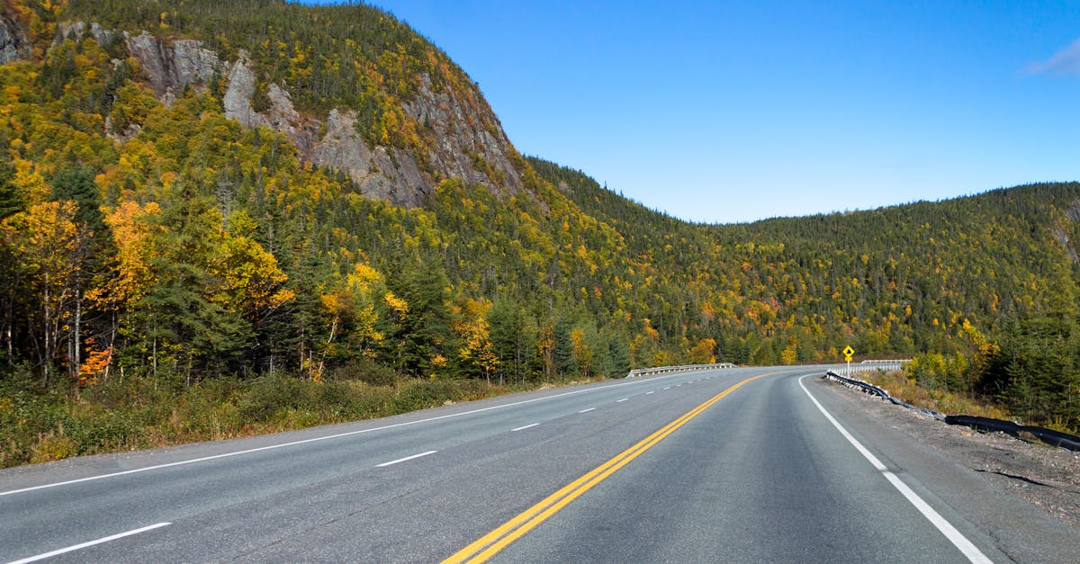 Empty smooth asphalt roadway running along rocky hill covered with dense woods under cloudless sky