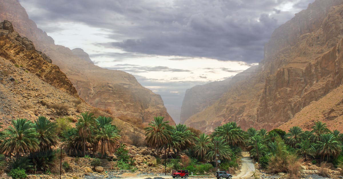 Dramatic valley in Muscat Governorate, Oman, featuring palm trees and rugged terrain.