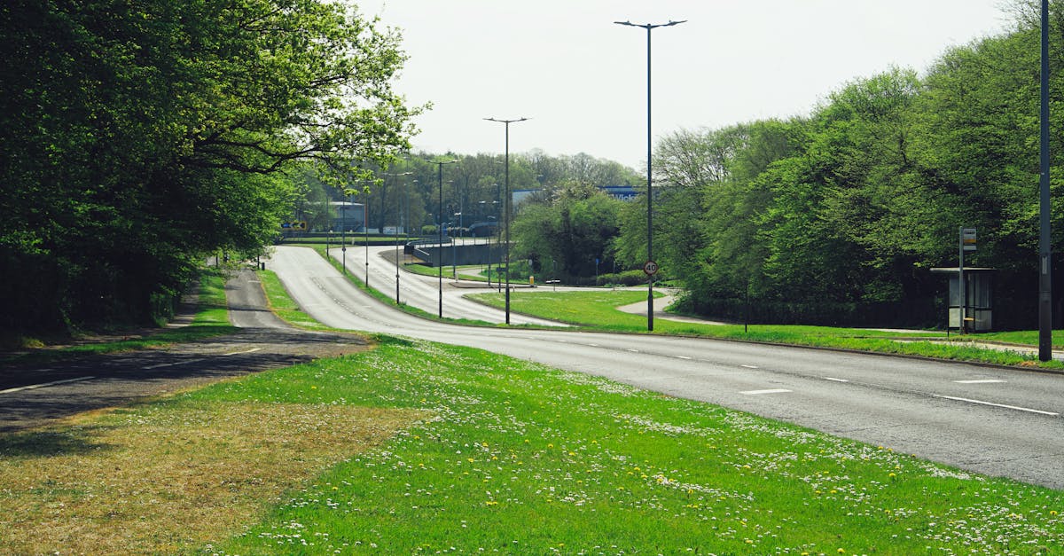 Empty road lined with trees and grass in England, capturing tranquility and nature.