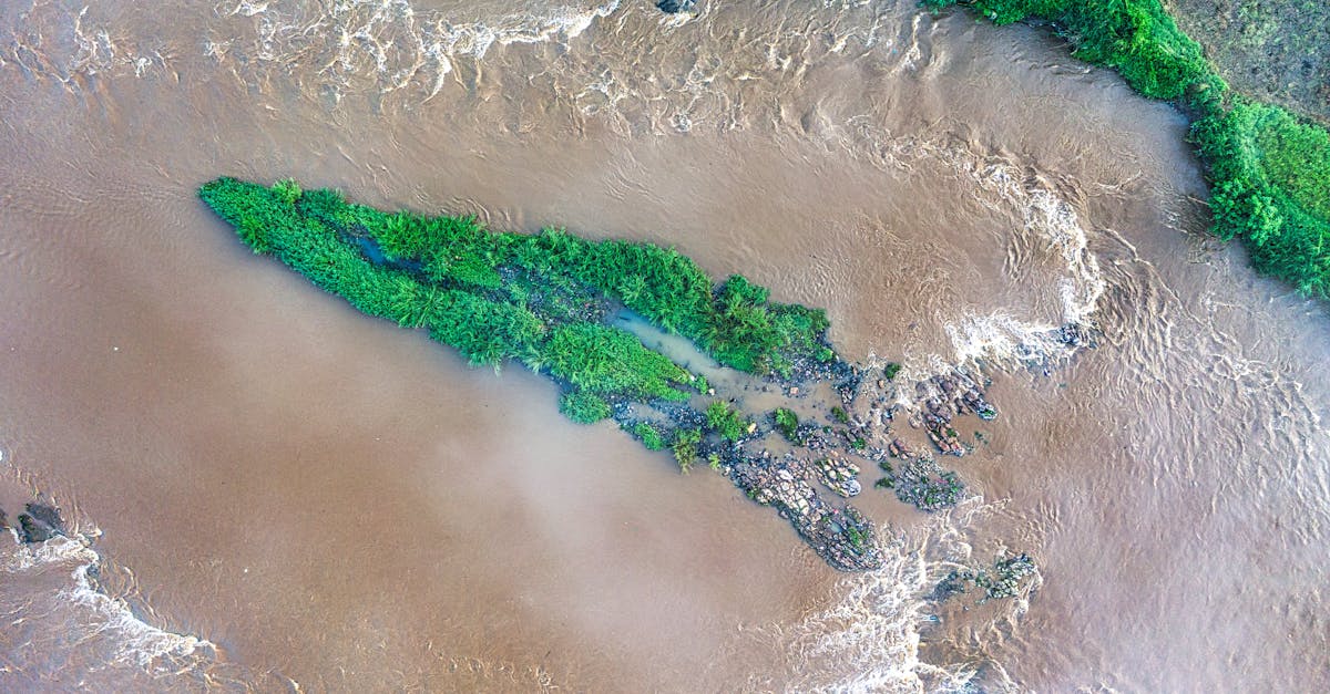 Aerial view of a lush green island surrounded by a flowing river in Banten, Indonesia.