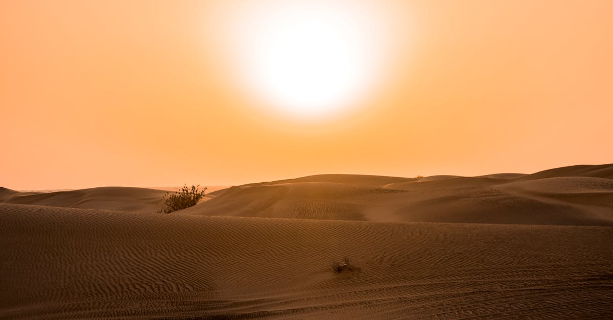 Scenic view of the sun setting over sand dunes in the Dubai desert.