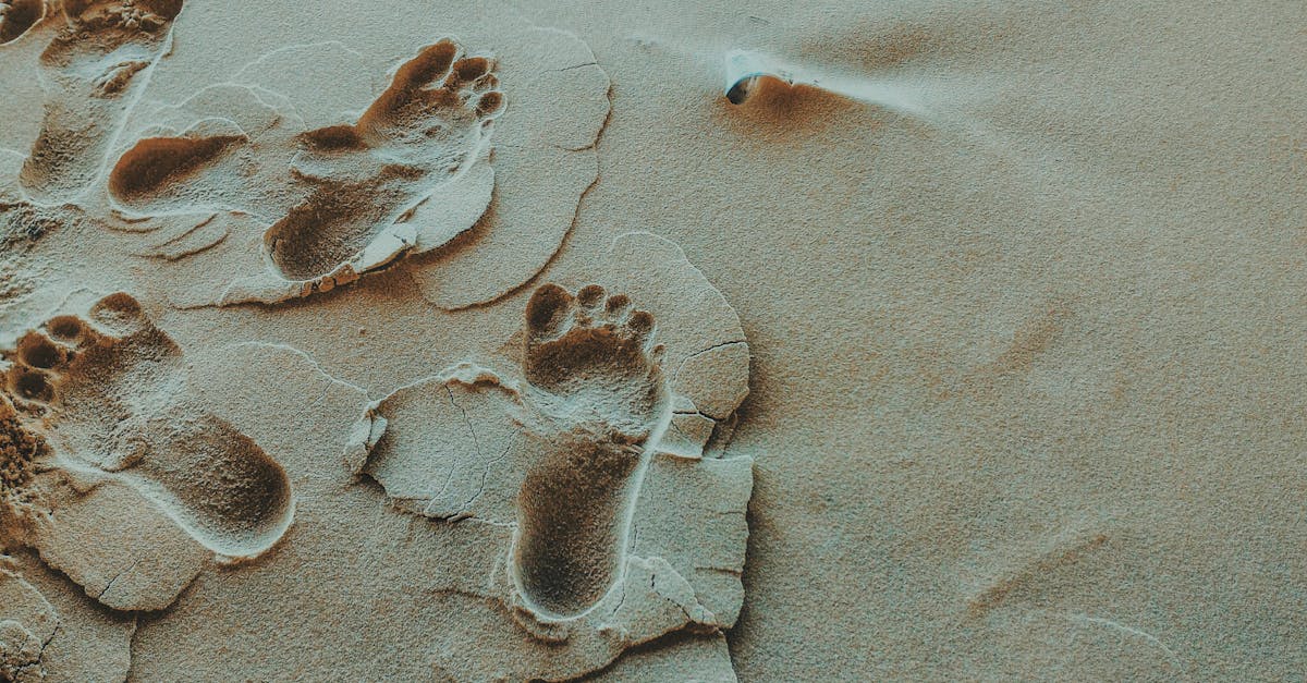 Close-up of footprints imprinted in sandy beach terrain, displaying unique patterns and textures.