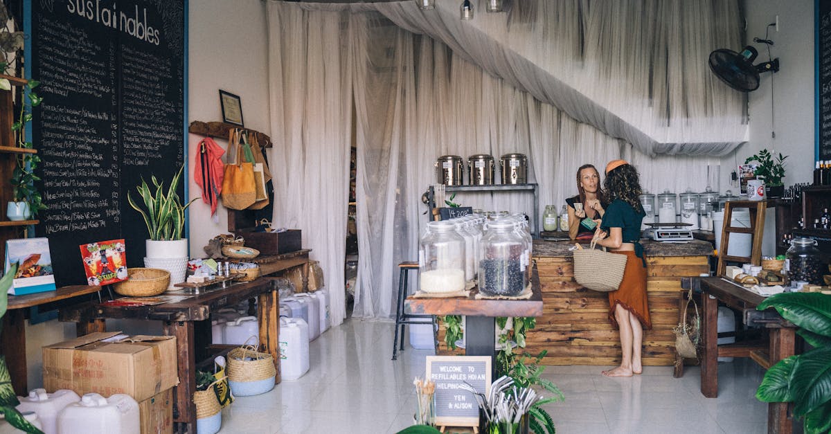 A cozy eco-friendly store with sustainable goods and two people interacting.