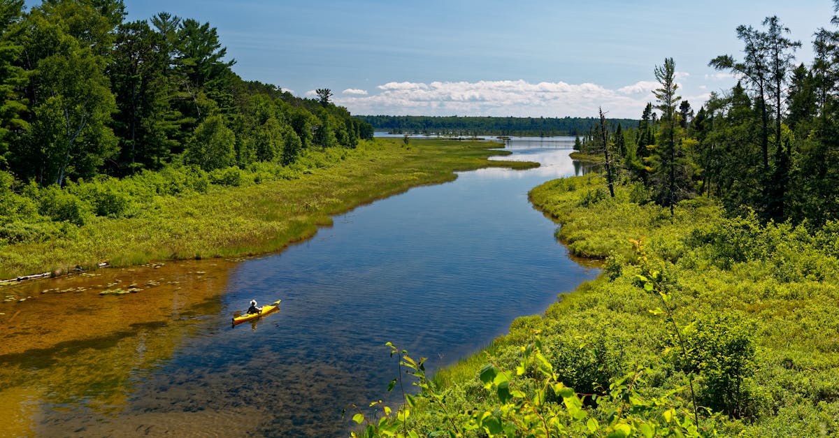 Scenic view of a lone kayaker paddling on a calm river surrounded by lush green forest.