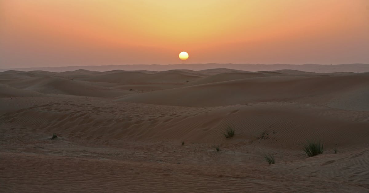 third_section_image_data.image_alt