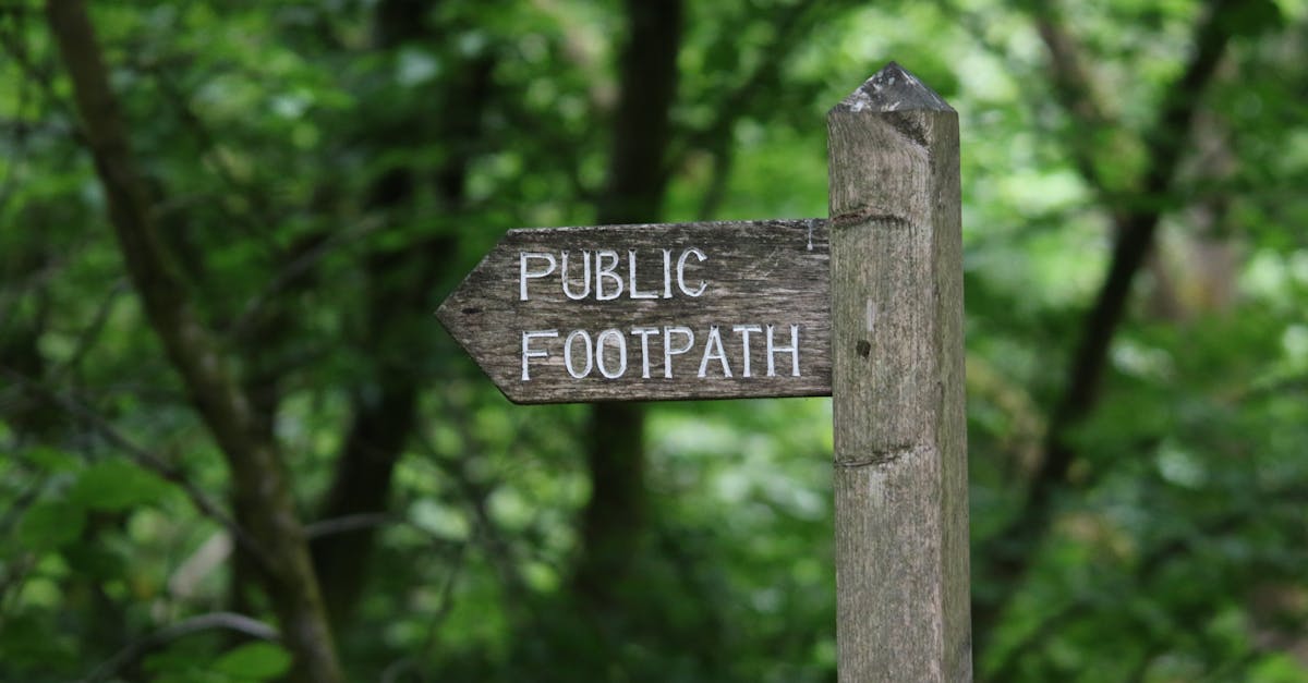Rustic wooden signpost directing to a scenic public footpath in a verdant forest.