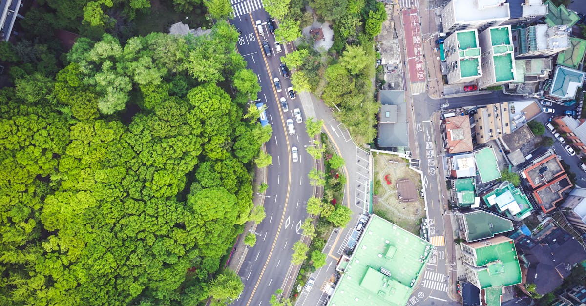 Aerial shot showcasing a vibrant city intersection bordered by lush green trees and urban buildings.