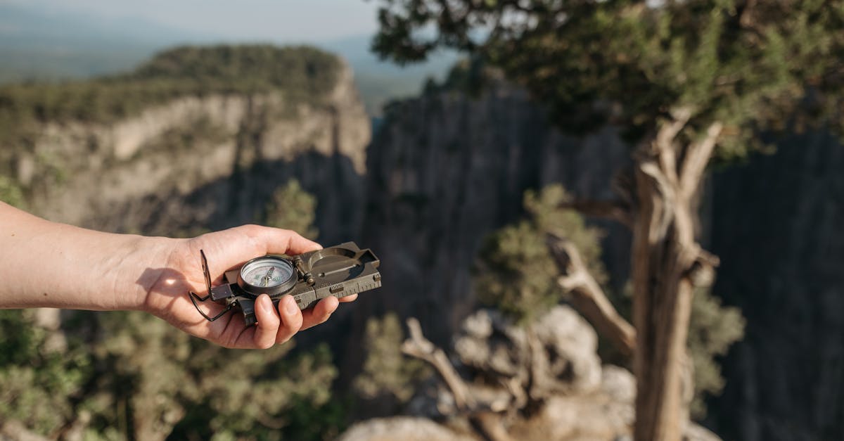 A person holding a compass, navigating through a scenic forested canyon area.