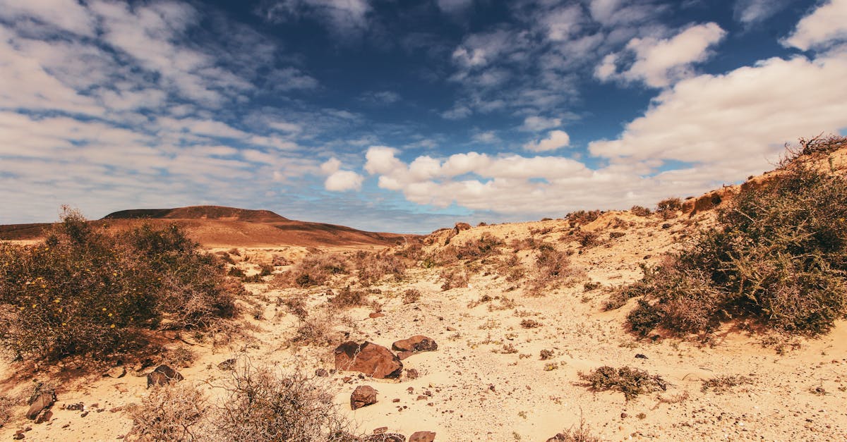 third_section_image_data.image_alt