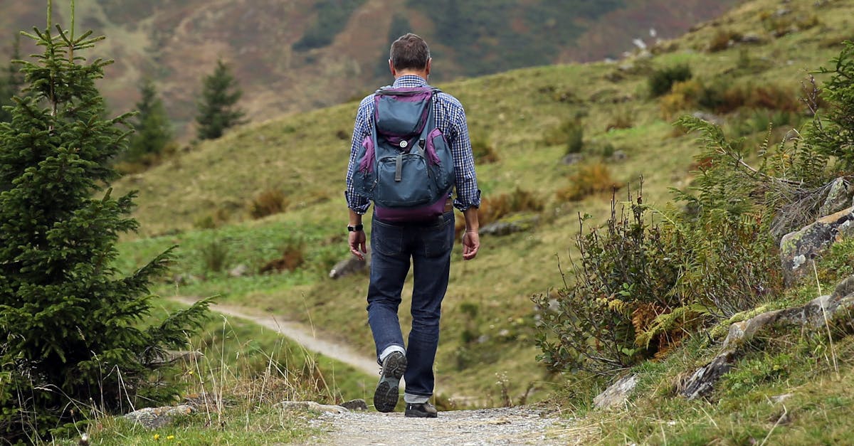 A lone hiker walks along a mountain path surrounded by lush greenery and scenic views.
